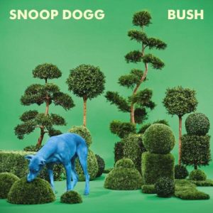 BUSH album cover