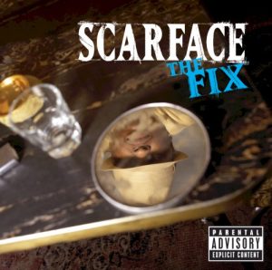 The Fix album cover