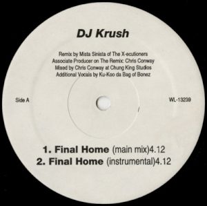 Final Home album cover