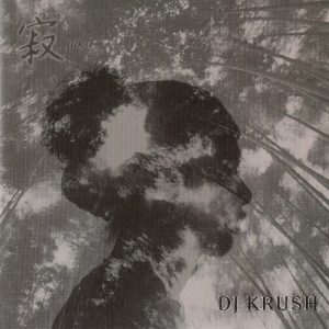 寂 -jaku album cover