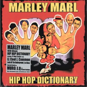 Hip Hop Dictionary album cover