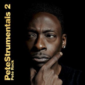 PeteStrumentals 2 album cover