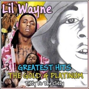 The Gold & Platinum: Titty To The Clitty album cover