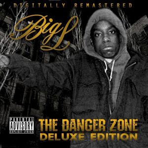 The Danger Zone album cover