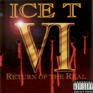 VI: Return of the Real album cover