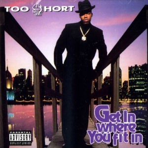 Get In Where You Fit In album cover