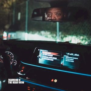 The Rear View album cover