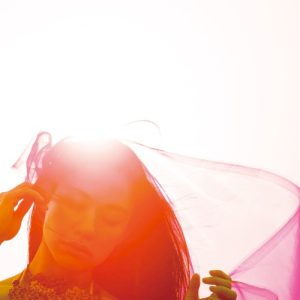 THE UNION album cover